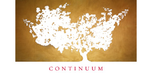 Continuum