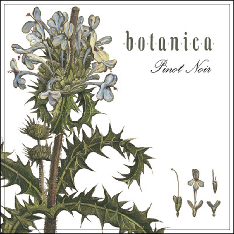 Antica Terra Botanica Pinot Noir 2019