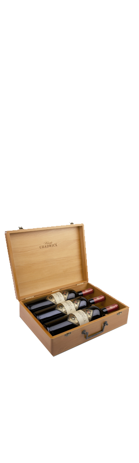 Vinedo Chadwick Mini Vertical Wooden Case (Set of Vintage 2006, 2009, 2012 @1each)