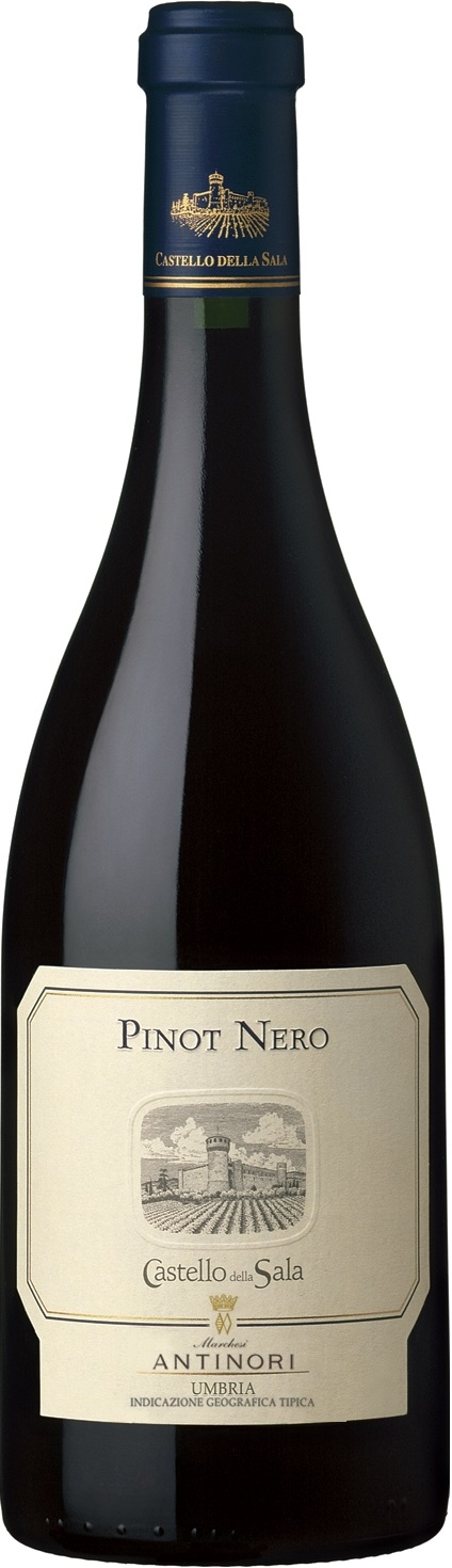 Castello Della Sala Pinot Nero IGT 2019 - 100% Pinot Noir