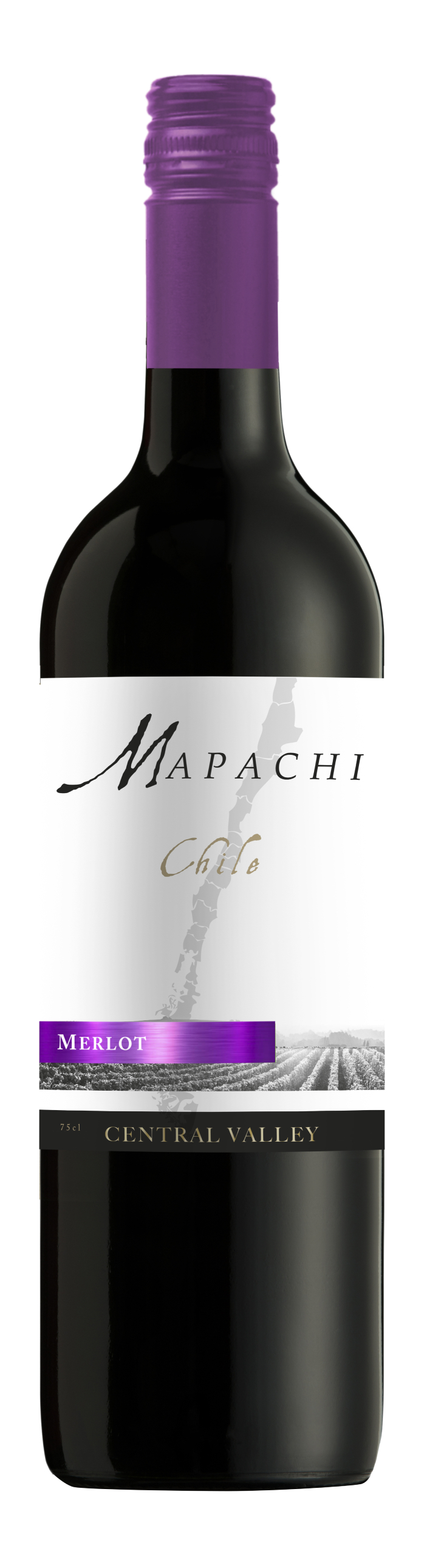 Mapachi Merlot 2022