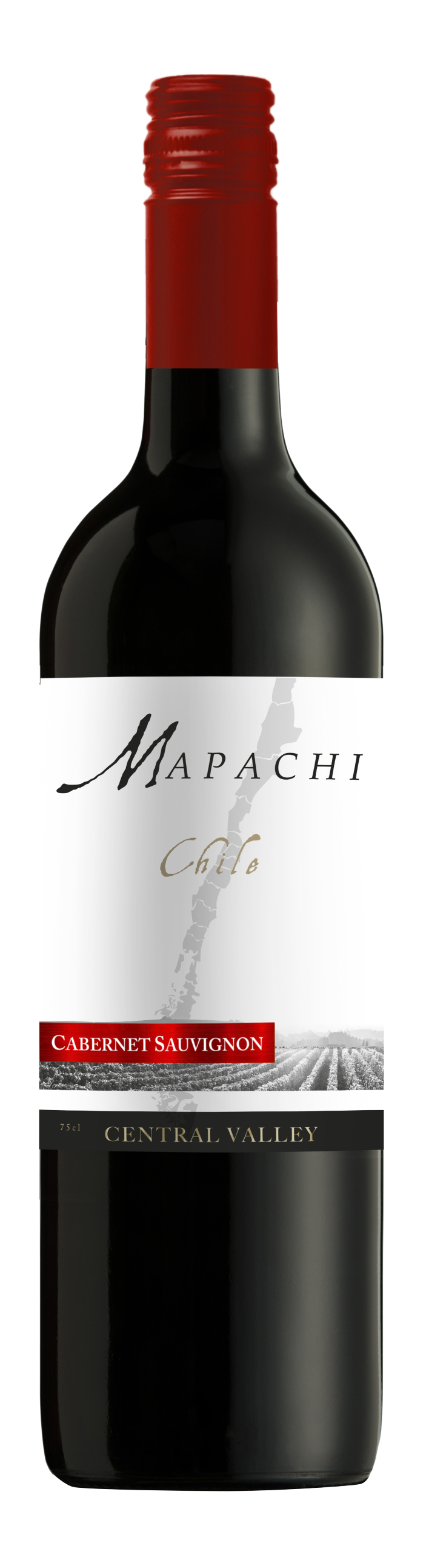 Mapachi Cabernet Sauvignon 2022